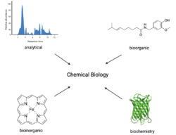 Chemical biology flowchart.png