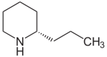 Coniin - Coniine.svg