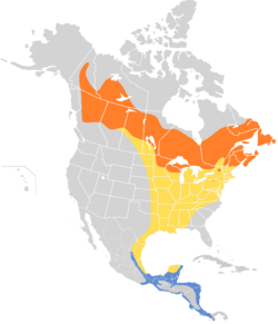 Empidonax flaviventris map.svg