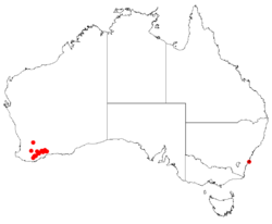 Hakea brachypteraDistMap14.png