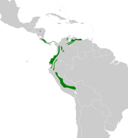 Lophotriccus pileatus map.svg