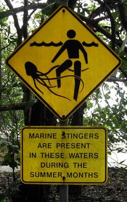 A signpost warns swimmers of the presence of Chironex fleckeri (box jellyfish)