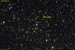 NGC 2423 DSS.jpg