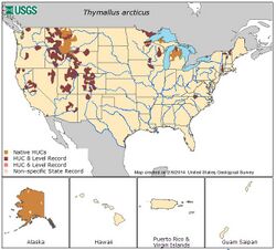 U.S. map of grayling range