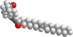 Oléoyl-estrone 3D.png