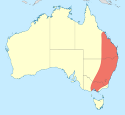 Parasynthemis regina distribution map.svg