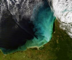 Sediment off the Yucatan Peninsula.jpg
