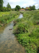 A small inland stream forms the source of a natural river water certified reference material