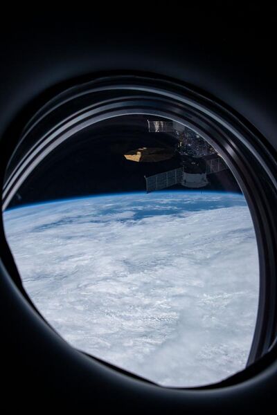 File:SpaceX Crew 1 capsule window view.jpg
