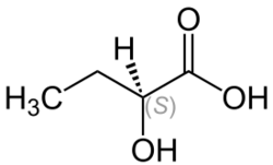 (S)-2-Hydroxybutanic Acid Structural Formula V1.svg
