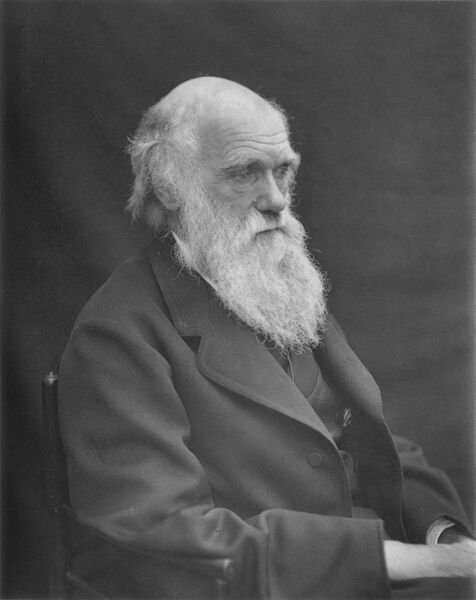 File:1878 Darwin photo by Leonard from Woodall 1884 - cropped grayed partially cleaned.jpg