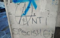 ANTI SPECISMO graffiti in Turin.jpg