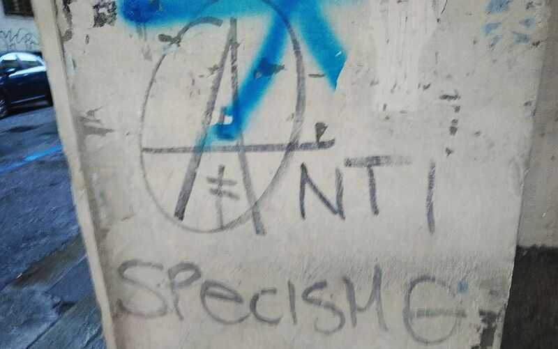 File:ANTI SPECISMO graffiti in Turin.jpg