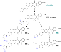 Alectinib metabolism.svg