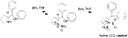 Diphenylprolinol CBScatalyst.gif