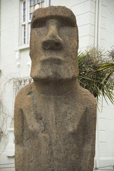File:Moai head at Corporacion Museo de Arqueologia e Historia Francisco Fonck.jpg