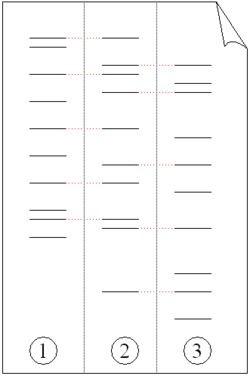 Pcr fingerprint.png