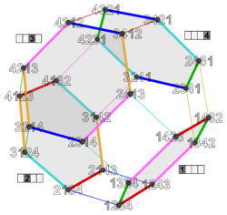 Permutohedron 4 subsets 1 (first).svg