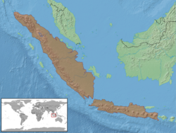 Pseudocophotis sumatrana distribution.png