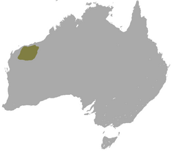 Rothschild's Rock Wallaby area.png