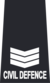 SCDF Sgt.png