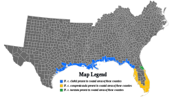 Salt Marsh Snake habitat range map.svg