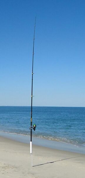 File:Sandy Hook NJ beach fisherman's pole.jpg