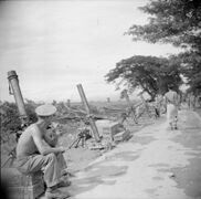 The British Army in Burma 1945 SE4463.jpg