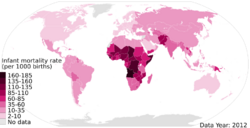 2012 Infant mortality rate per 1000 live births, under-5, world map.svg