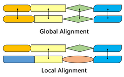 Alignment-Comparison-En.png