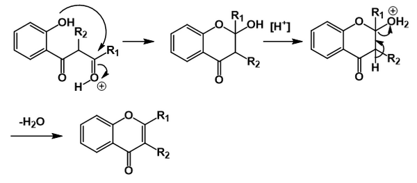 The cyclodehydration following the Baker-Venkataraman rearrangment on treatment with acid.