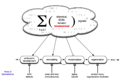 Bioelectricity Figure 1.png