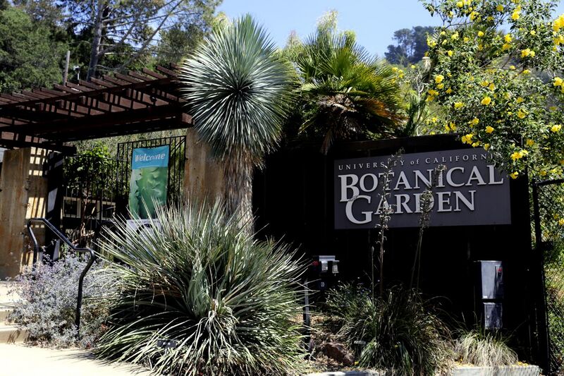 File:Botanischer Garten in Berkeley, California.JPG