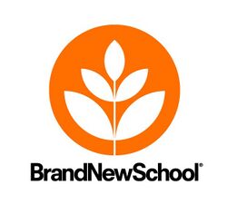 Brand New School logo.jpg