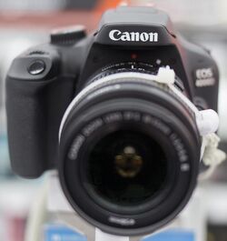 Canon EOS 4000D 6463.jpg