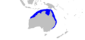 Australian blacktip shark geographic range
