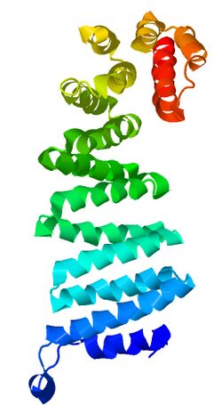 Crystal Structure of the Vesicular Transport Protein Sec17.jpg