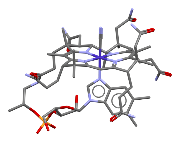 File:Cyanocobalamin-from-xtal-3D-st-noH.png