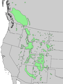 Juniperus scopulorum range map 4.png