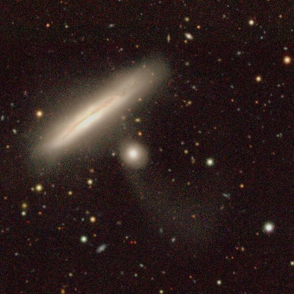 File:NGC 52 Legacy DR9.jpg