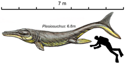 Plesiosuchus restoration.png