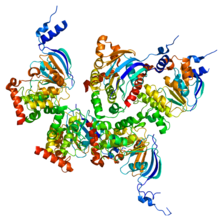 Cystic fibrosis transmembrane conductance regulatory (CFTR) protein.