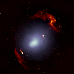 The radio relics present in Abell 3667