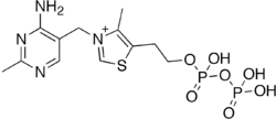 Thiamine diphosphate.png