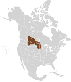 Urocitellus richardsonii map.svg