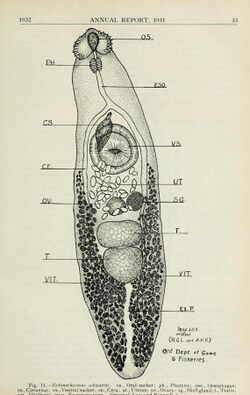 Annual report of the Game and Fisheries Department of Ontario, 1921-34" (19358472862).jpg