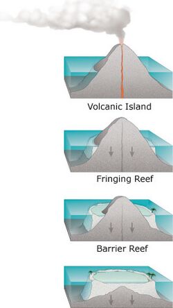 four stages in development of coral reefs: a volcanic island forms, is surrounded by a fringing coral reef, as it subsides slowly a wide barrier reef forms, then after it has sunk below sea level the coral continues to grow forming a circular atoll.