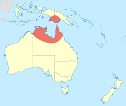 Austrocnemis maccullochi distribution map.svg