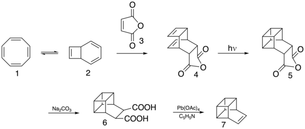 Total Synthesis of Basketene