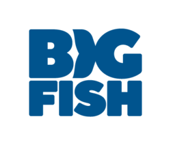 Big Fish company logo.png